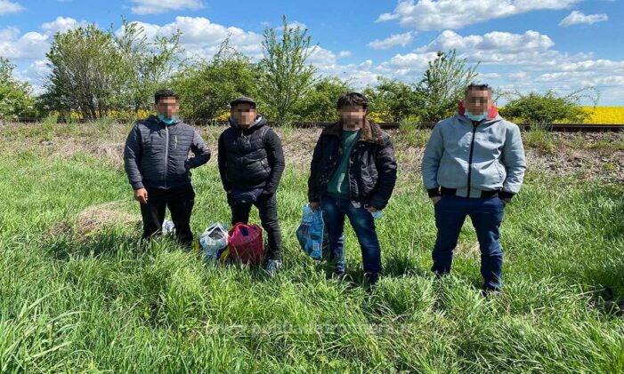 Patru migranti prinși lângă Carei (Foto)