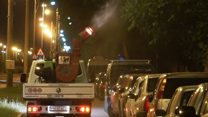 „Razboi” total ! Cum vrea sa starpeasca municipalitatea tantarii si capusele ?