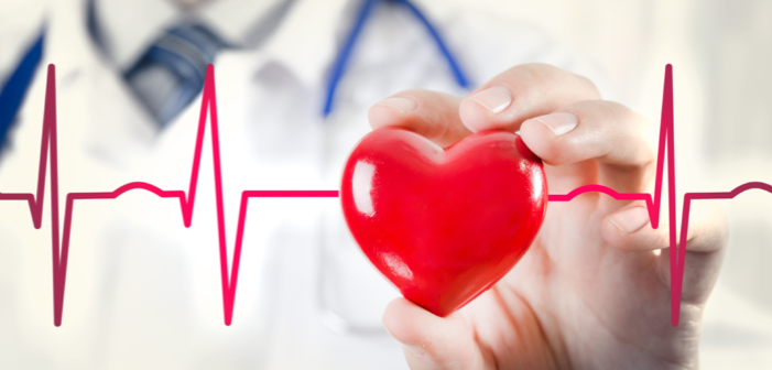 Sprijină sistemului cardiovascular Sprijină sistemului cardiovascular