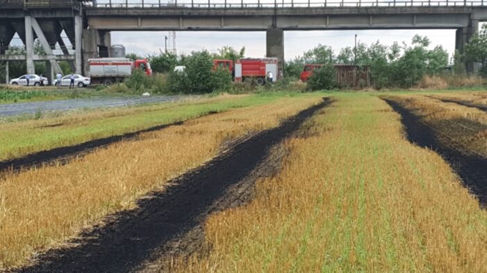 Incendiu de vegetatie uscata in Halmeu (Foto)