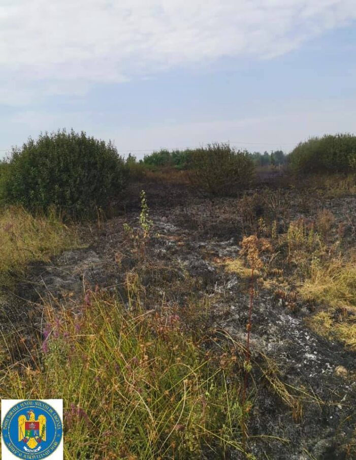 Incendiu mare in judet, la iesirea din Negresti-Oas (Foto)