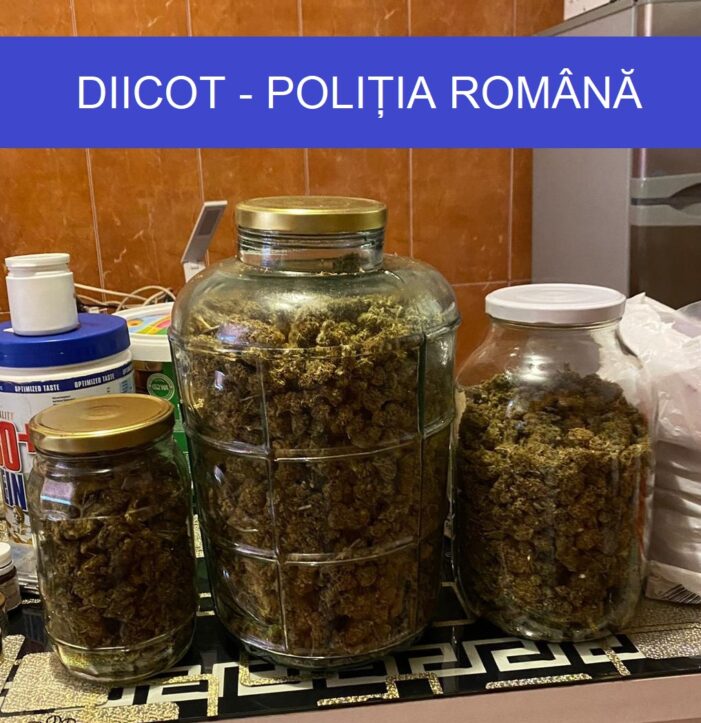 Perchezitii in judet. Ce droguri au gasit mascatii ?