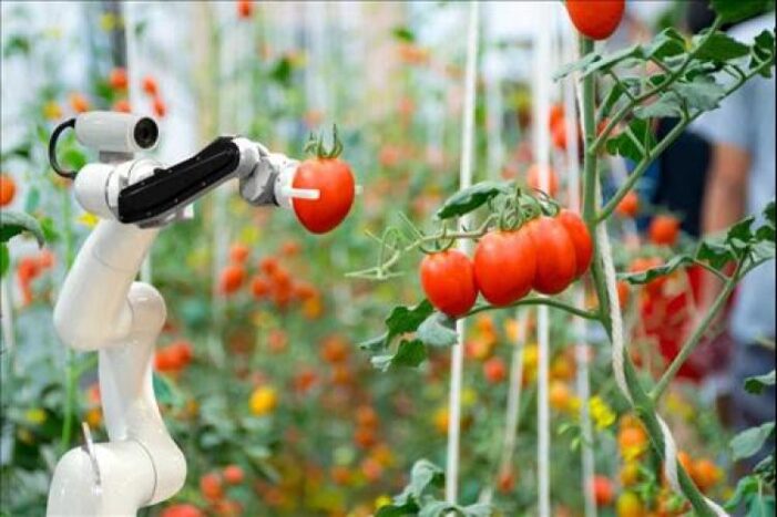 Robotii pun stapanire si pe agricultura. Proiectul unei firme din Cluj