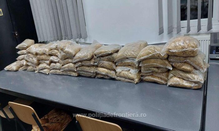 Aproape 25 kg de tutun în bagajele unor sătmăreni