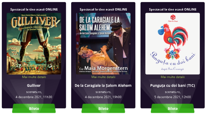 Spectacole extraordinare de teatru pentru sătmăreni