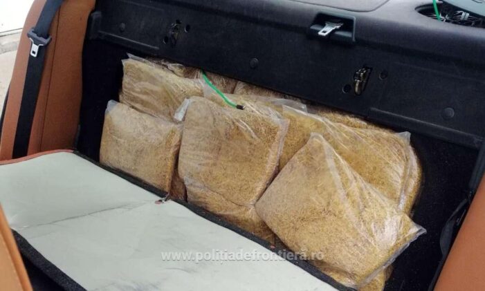 Zeci de kilograme de tutun, confiscate la Urziceni (Foto)