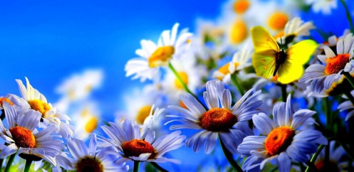 Ce nume se sărbătoresc de Florii ? Ce nume se sărbătoresc de Florii ?