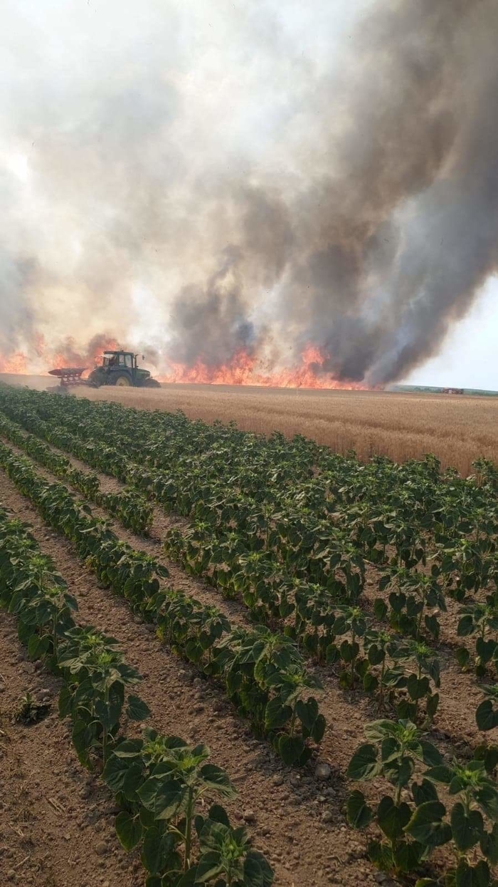 Zeci de hectare de grau distruse de foc. Pagube imense (Foto)