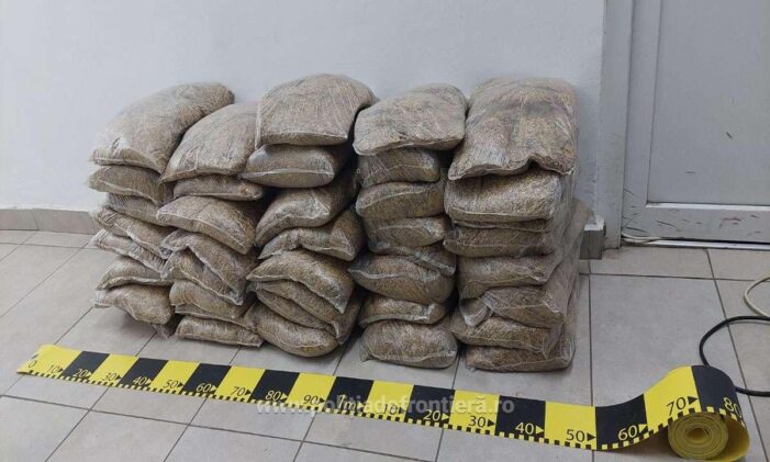 40 de pungi cu tutun descoperite în mașina unui bihorean