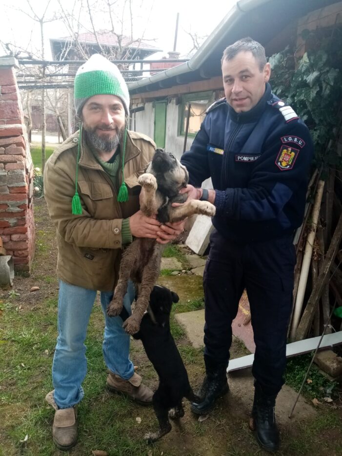 Doi căţeluşi, salvaţi de pompieri (Foto)