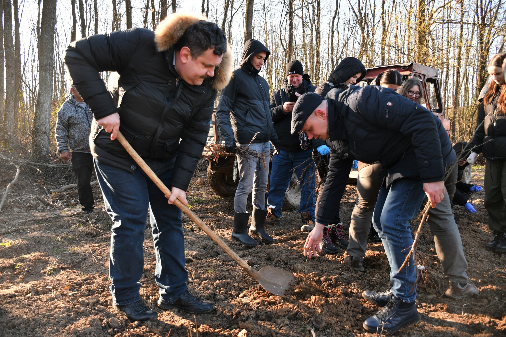 Plantare de puieţi lângă Săcăşeni