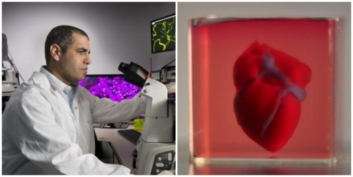 Inimi umane printate 3D, viitorul operaţiilor pe cord Inimi umane printate 3D, viitorul operaţiilor pe cord