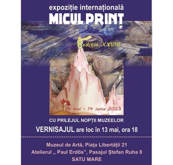Micul Prinţ … la Muzeul de Artă