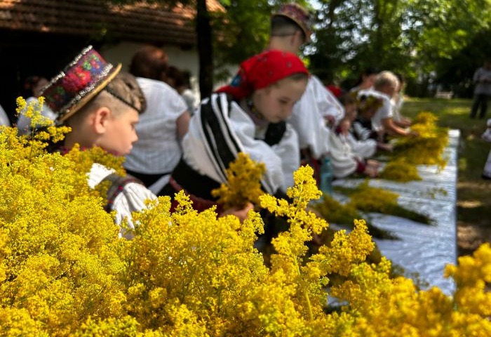 Ziua Iei a fost marcată şi în Negreşti-Oaş