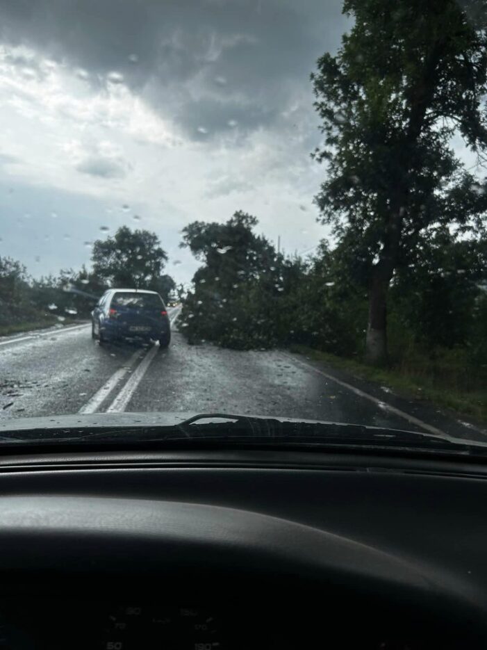 Furtuna a făcut ravagii în judeţul vecin (Foto)
