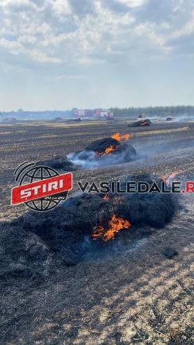 Incendiu puternic între Seini şi Apa (Foto)