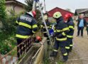 Pompierii au salvat un cățel căzut în fântână