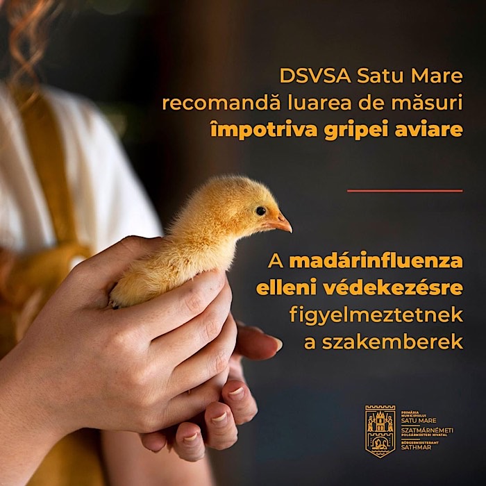 Recomandările DSVSA cu privire la gripa aviară