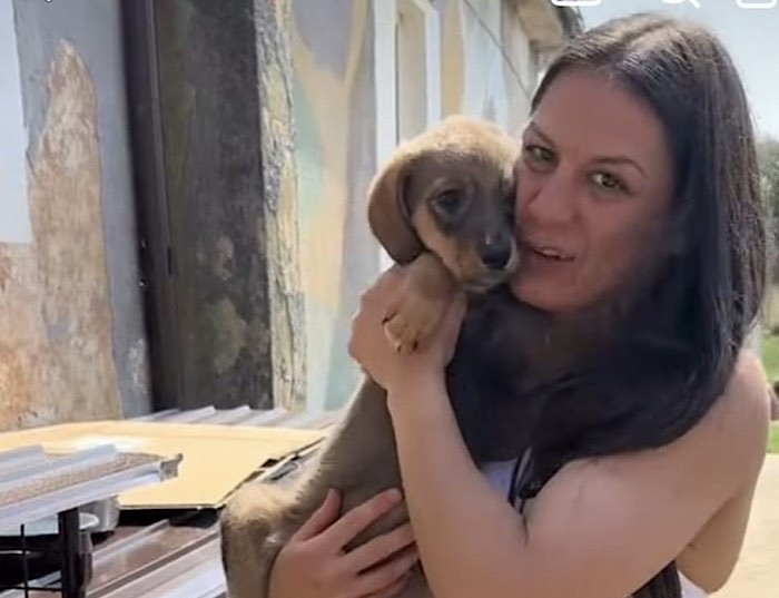 Alice Ardelean a revenit acasă la Satu Mare cu cadouri pentru cățeii adăpostului FreeLife