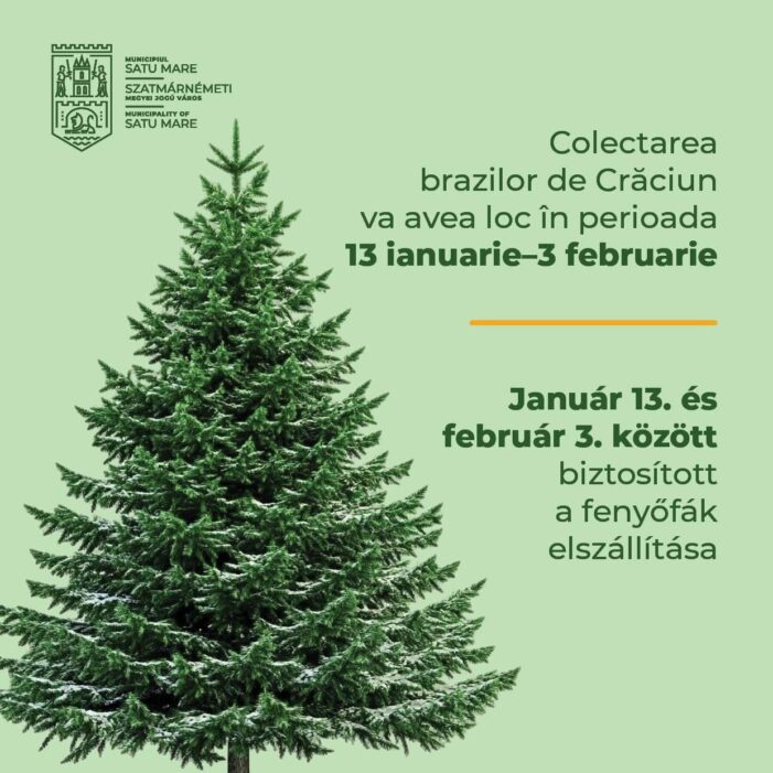 Primăria Satu Mare organizează campania de colectare a brazilor de Crăciun
