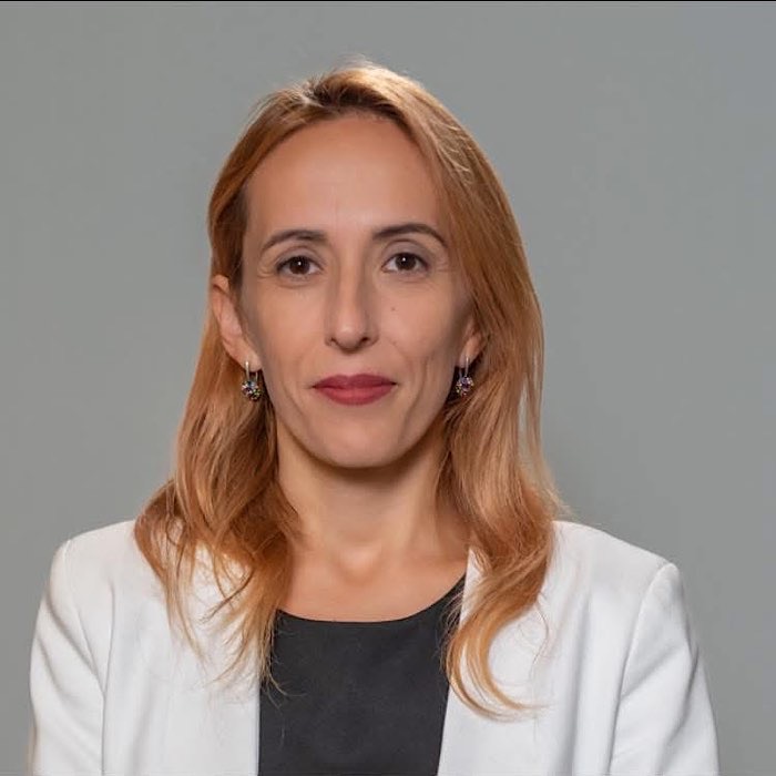 Diana Creț propune eliminarea sălilor de jocuri din Satu Mare Diana Creț propune eliminarea sălilor de jocuri din Satu Mare