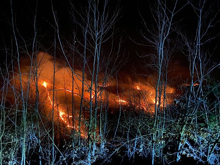 Incendiu de proporții în zona Racșa: flăcările au cuprins aproximativ 150 de hectare