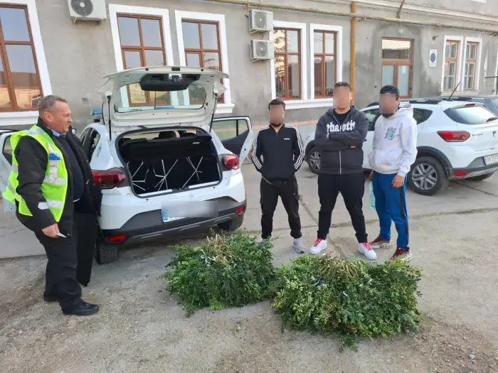 Trei tineri surprinși de Poliția Locală după ce au tăiat crengi din Parcul Vasile Lucaciu