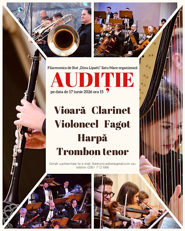 Noi locuri în orchestra Filarmonicii din Satu Mare. Se caută violoniști, clarinetiști și harpiști