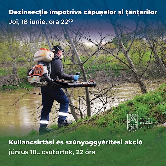 Acțiune de dezinsecție în municipiul Satu Mare: intervenții împotriva căpușelor și țânțarilor