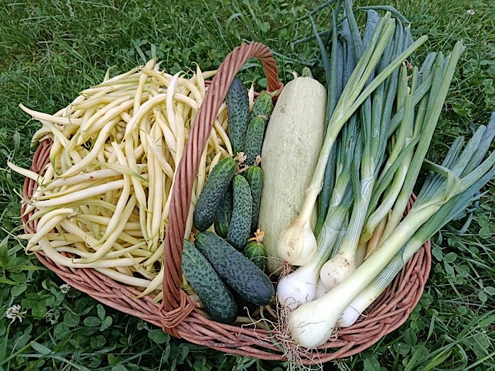 Legume proaspete din Satu Mare, livrate direct acasă