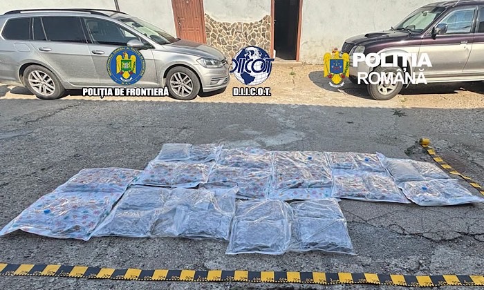 Captură de peste 38 de kilograme de canabis la Petea. Un bărbat de 31 de ani a fost arestat preventiv