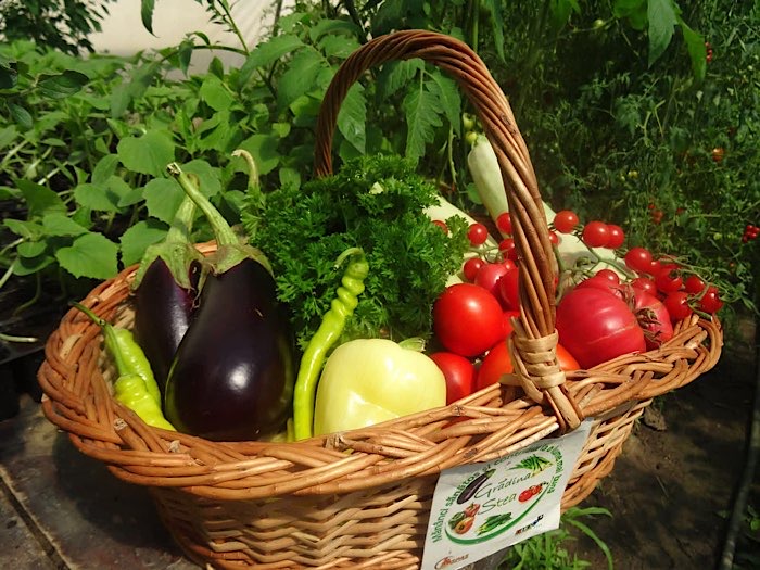 Legume culese direct din grădină ajung la sătmăreni. Coșul de vară care se livrează acasă