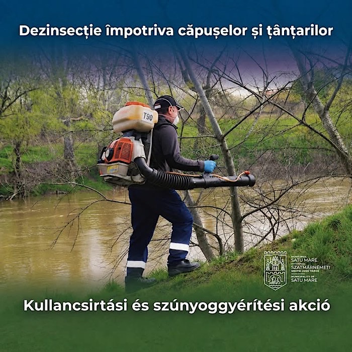 Dezinsecție în Satu Mare: tratamente împotriva țânțarilor și căpușelor, luni seara