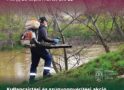 Dezinsecție împotriva țânțarilor și căpușelor, marți seara, în Satu Mare
