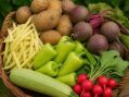 Grădina Stea pregătește posibil ultimul coș de legume din 2026. Produse locale, livrate la Satu Mare