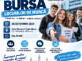 Bursa Locurilor de Muncă pentru Absolvenți, joi, la Satu Mare. AJOFM invită angajatorii și persoanele aflate în căutarea unui loc de muncă
