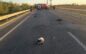 Tragedie pe centura Sătmarului. Un motociclist de 29 de ani și-a pierdut viața