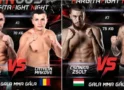 Doi luptători de la Friends Gym Satu Mare, pe afișul galei Hargita Fight Night