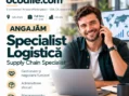 Ocodile angajează în Satu Mare: salariu de până la 10.000 de lei brut în logistică