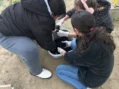 146 de elevi din Satu Mare au învățat despre emoții și cooperare la Asociația Stea