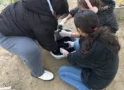 146 de elevi din Satu Mare au învățat despre emoții și cooperare la Asociația Stea