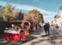 Târgul de Toamnă s-a deschis la Carei: 15 producători, pe platoul pietonal
